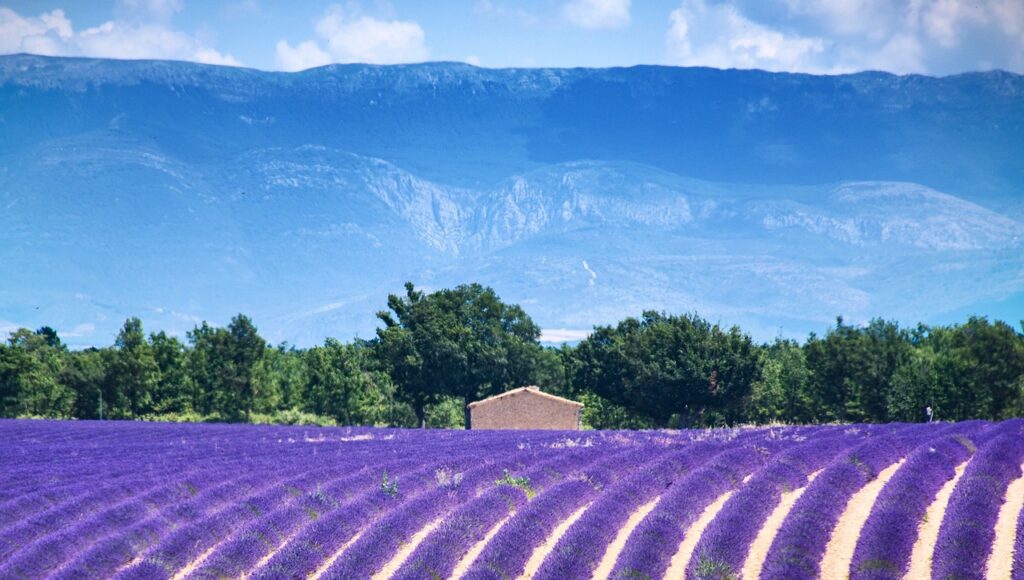 Louer un 4x4 avec tente de toit pour découvrir la Provence en roadtrip