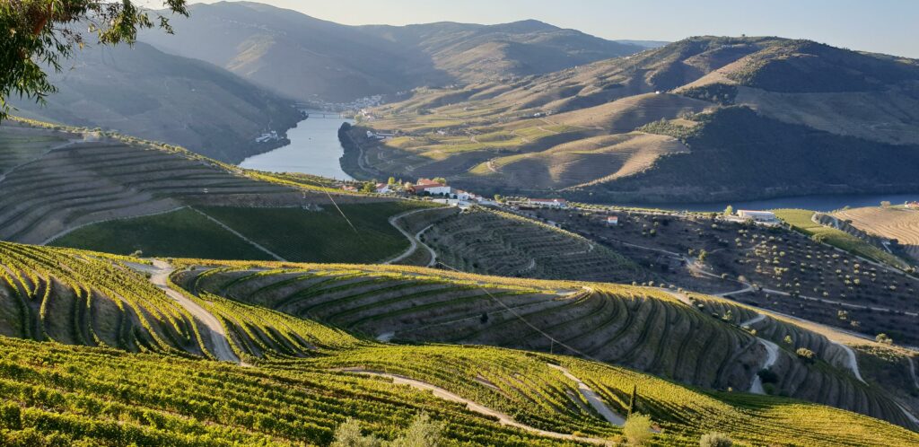 La vallée du Douro dans le nord du Portugal est une destination incroyable pour les roadtrip tout-terrain