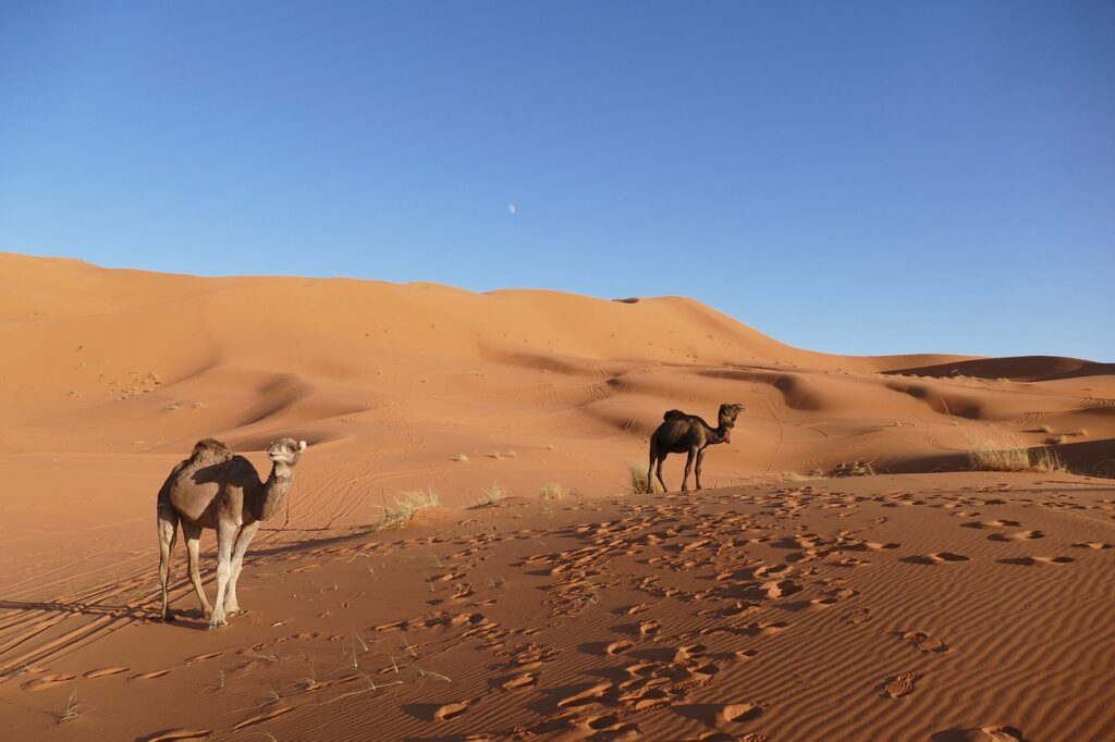 Road trip au Maroc en 4X4