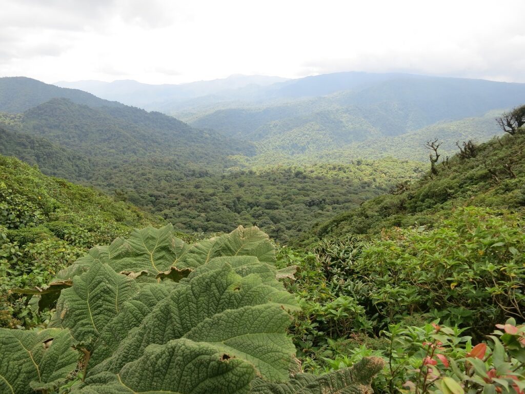 Road trip au Costa Rica en 4x4