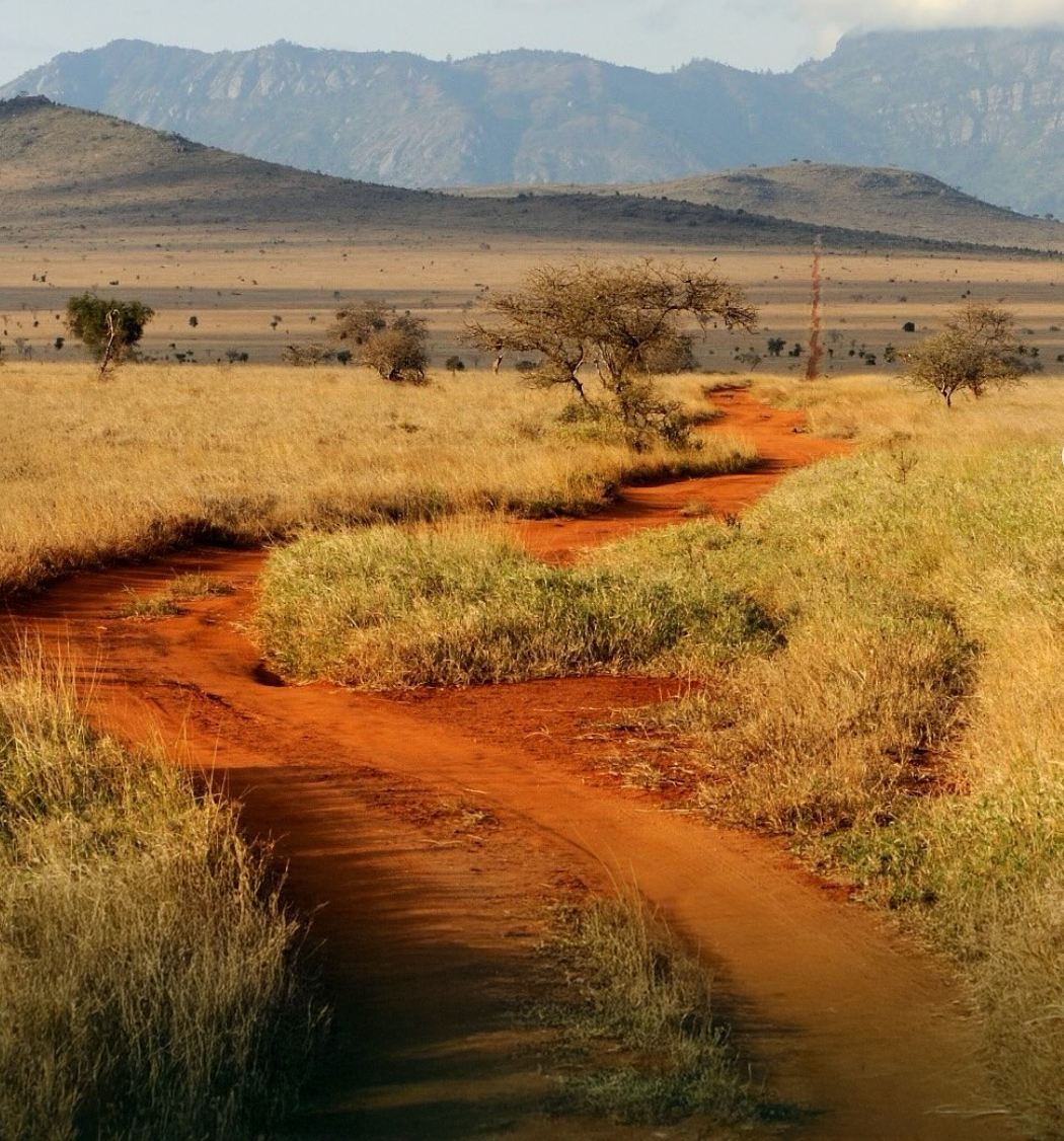 alt="Piste rouge au milieu de la savane en Afrique du Sud, route d’aventure idéale pour un safari en 4x4 avec Pampa Cruz"
