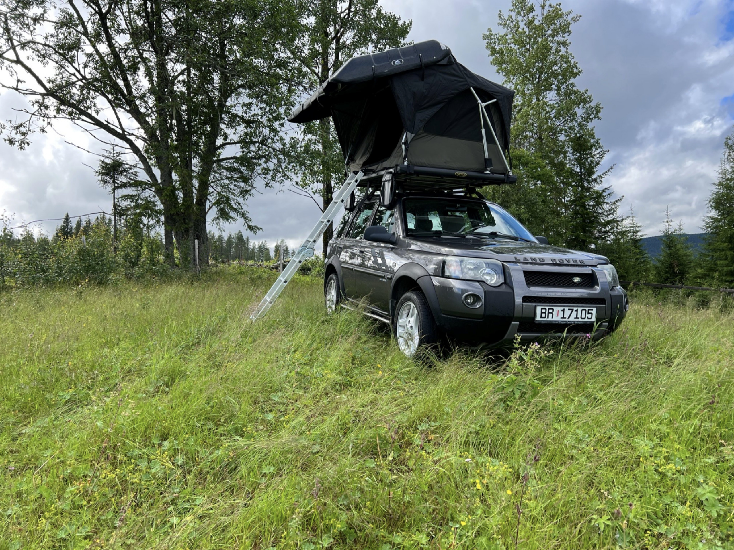 Freelander - Fiona