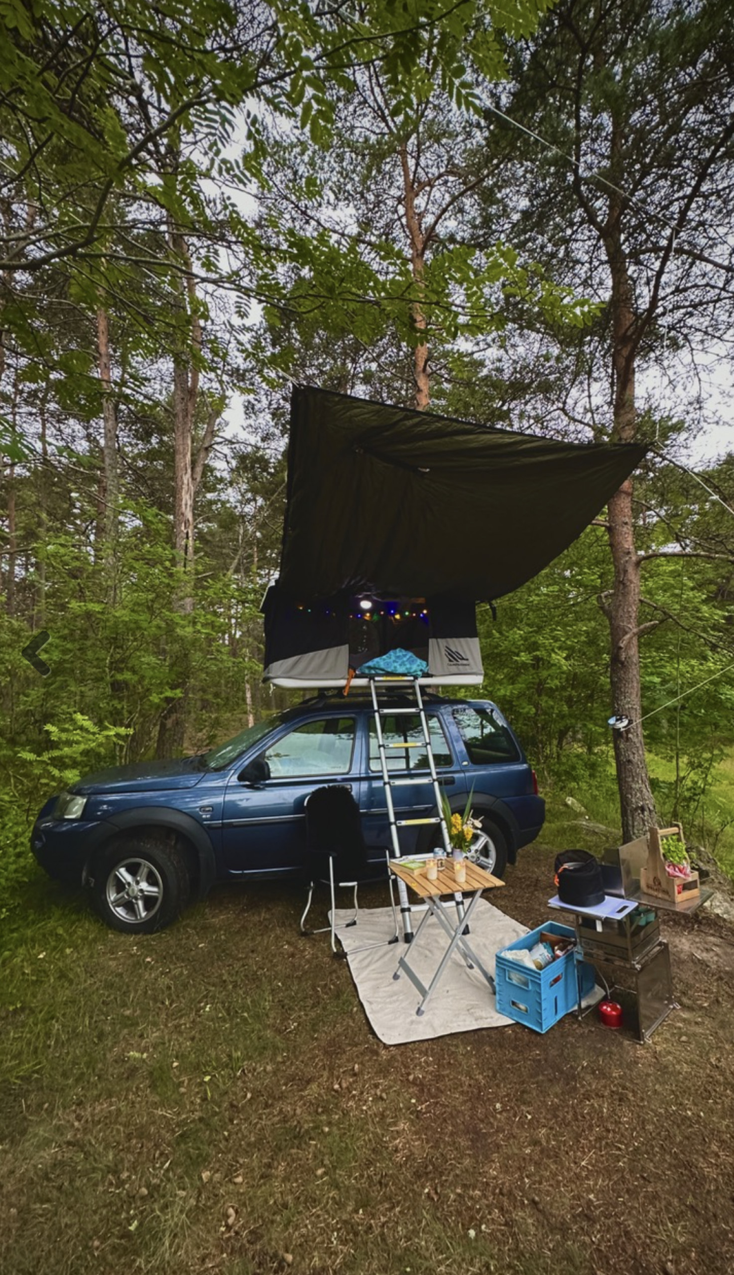 Freelander Roald