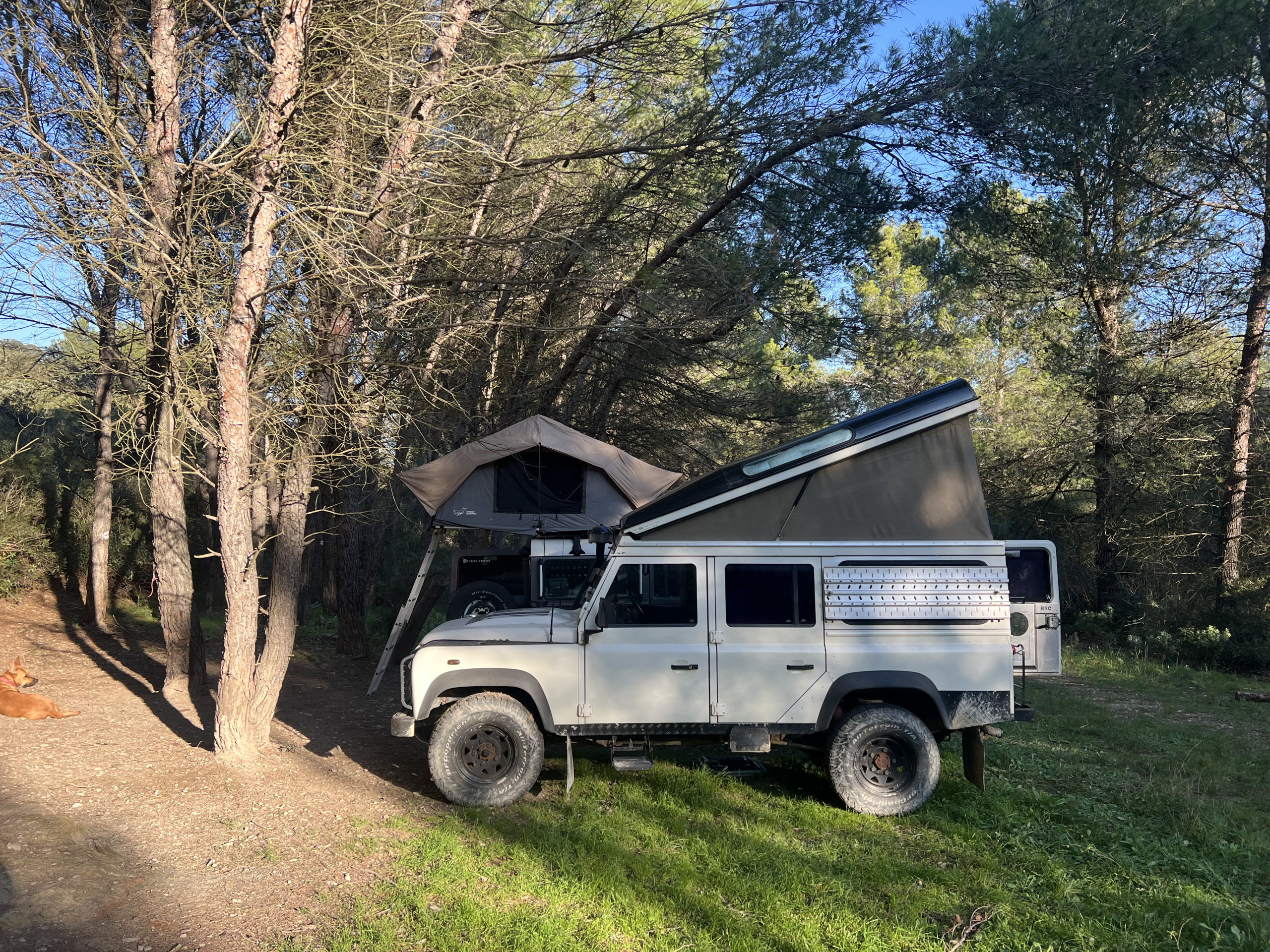 Defender