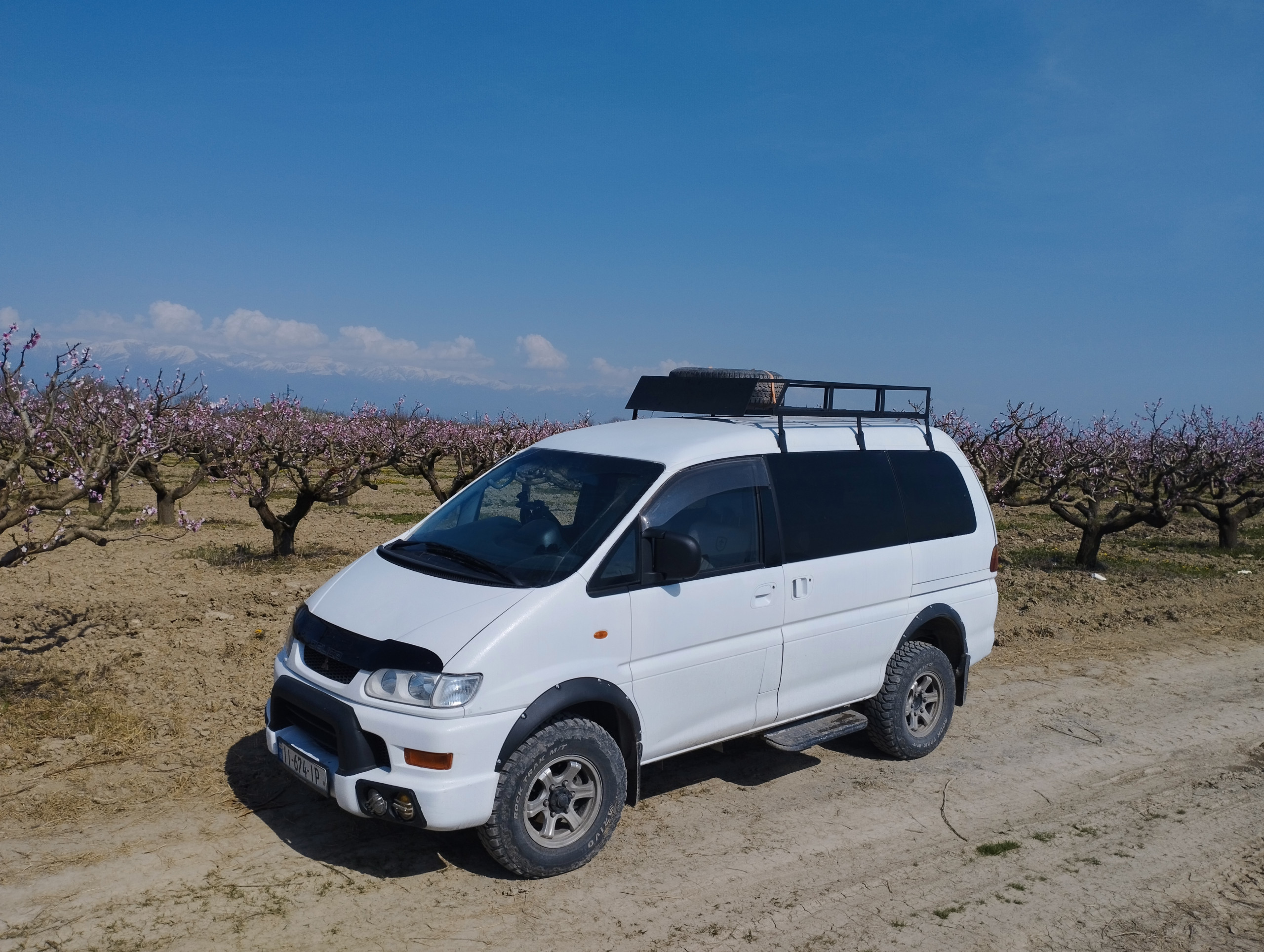 Delica