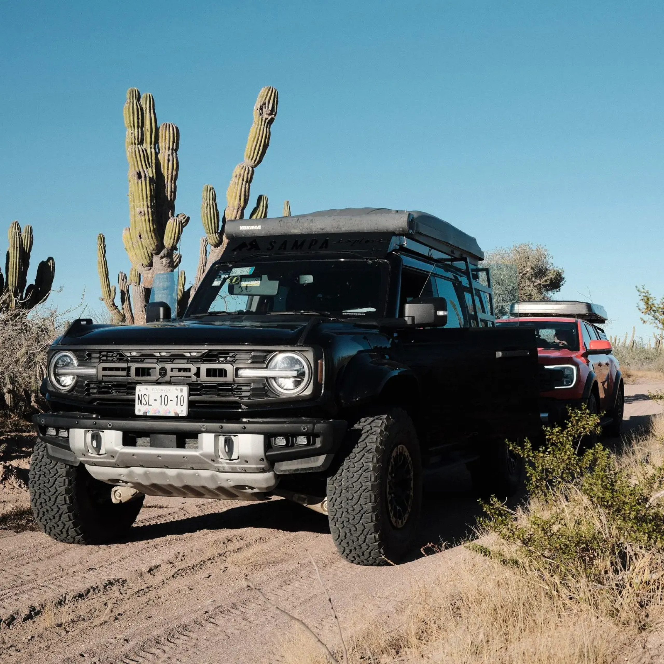 Bronco Raptor Gabriela 