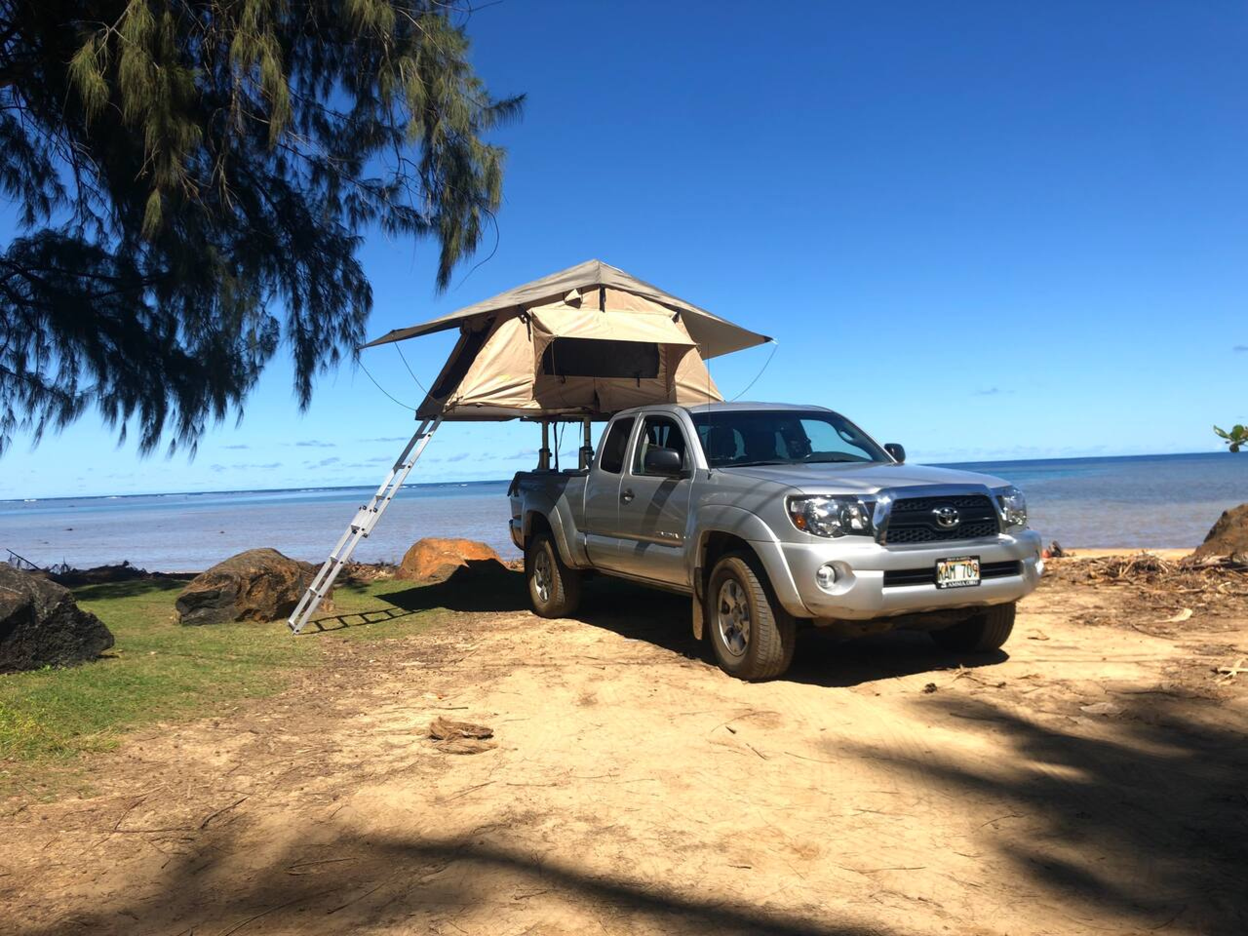 Tacoma Aelan